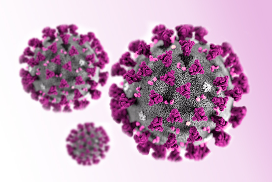 How to prepare for the Coronavirus and ways to prevent catching it