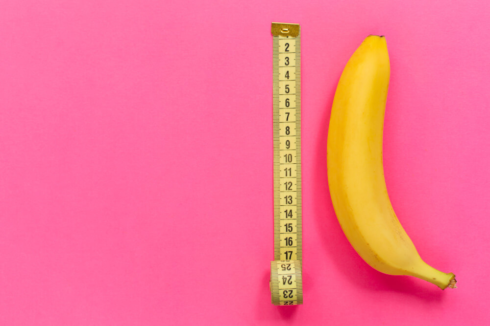What is the Average Penis Size?