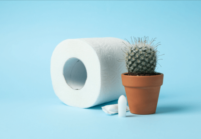 Haemorrhoids/Piles Treatments