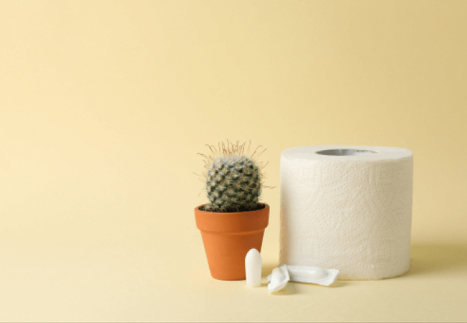 Haemorrhoids/Piles