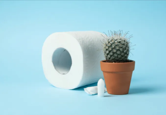 Haemorrhoids/Piles Treatments
